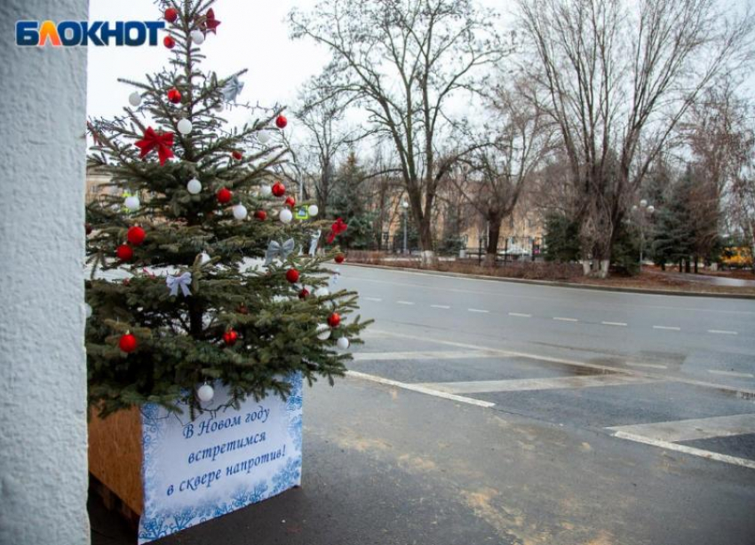 Экоелку в подарок получила многодетная семья из Волжского