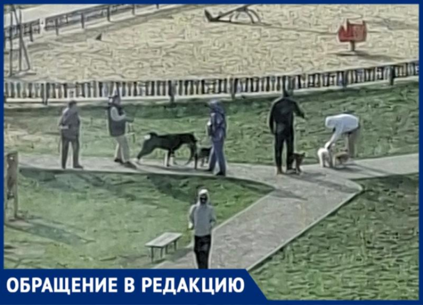 Волжанка пожаловалась на выгул собак на детской площадке