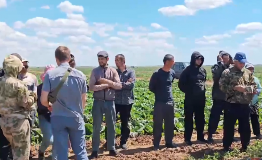 В Волгоградской области прошли рейды по выявлению нелегальных мигрантов: десятки нарушителей задержаны