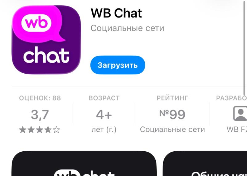 Жителям Волжского предложили новый мессенджер от Wildberries*