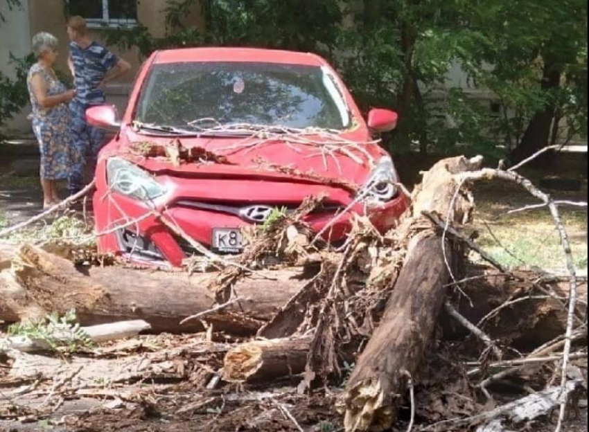 Сильный ветер повалил деревья на машины и дороги в Волжском: фото