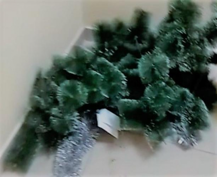 Гринч подкинул изуродованную елочку на место преступления в Волжском