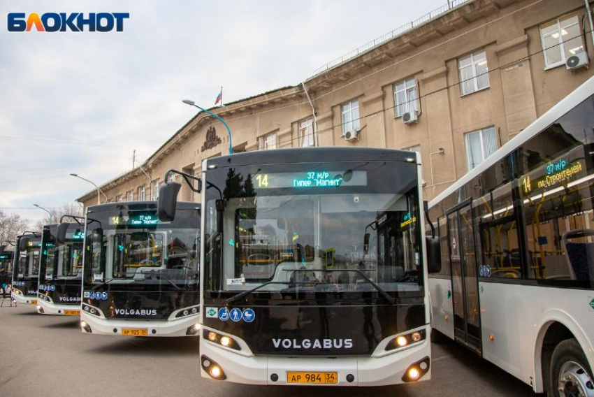 На Крещение в Волжском запустят дополнительный автобус к городскому пляжу