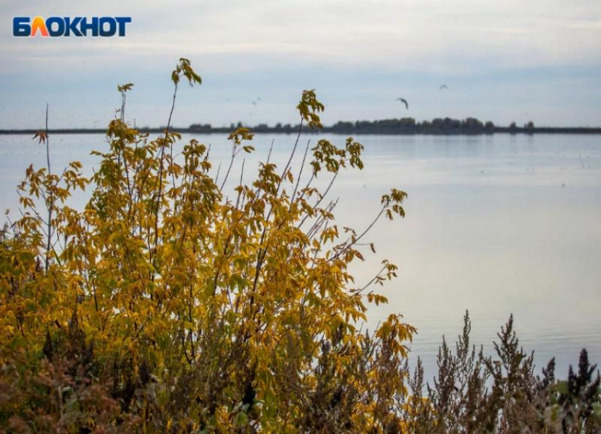 Понедельник встретит волжан хмурым небом: прогноз погоды