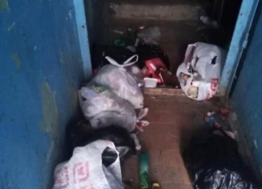 «Это гетто, а в гетто не должно быть цивильно»: антисанитария, мусор и безразличие в Волжском