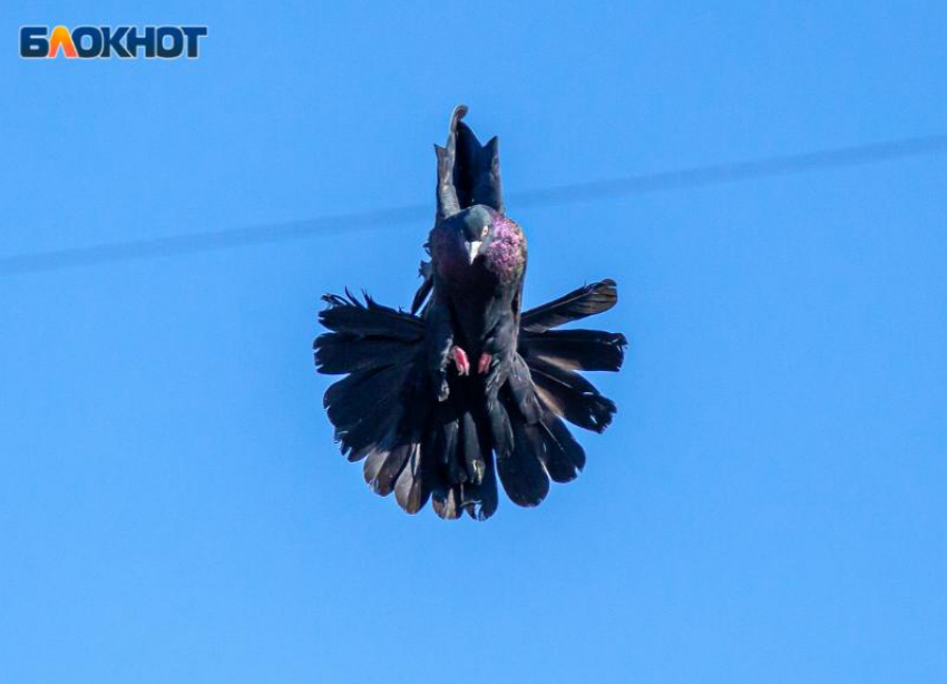 Тепло и сильный ветер ожидают волжан в среду: прогноз погоды