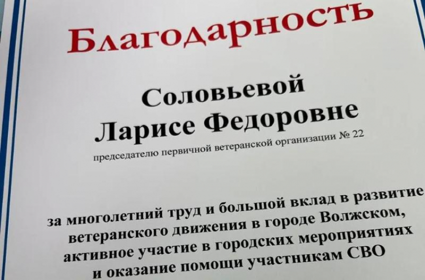 Совет ветеранов Волжского подвел итоги работы за год