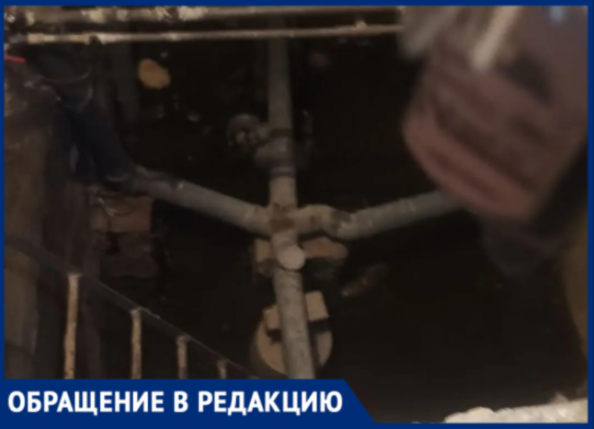 В Волжском подвал МКД заливает фекалиями, в квартиры лезут тараканы, а УК бездействует