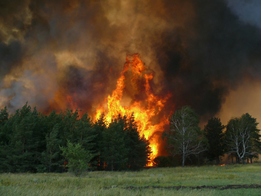 Из-за жары в Волгоградской области введен режим пожароопасности