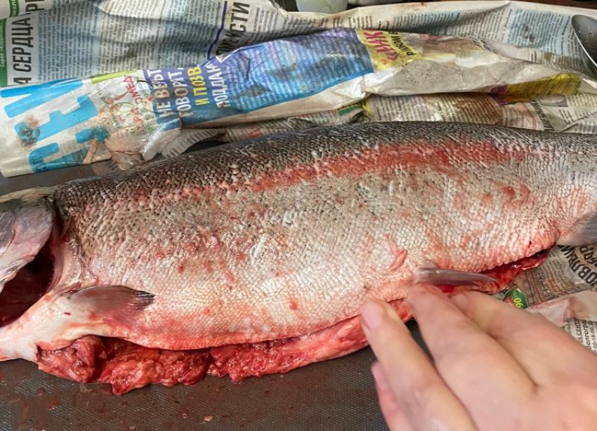 Продавец рыбы прокомментировал ситуацию с жалобой на качество продукта от волжанки