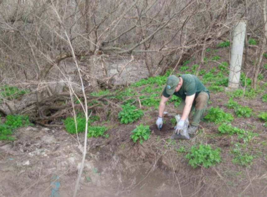 Житель Волжского должен выплатить более 1,38 млн рублей за загрязнение почвы