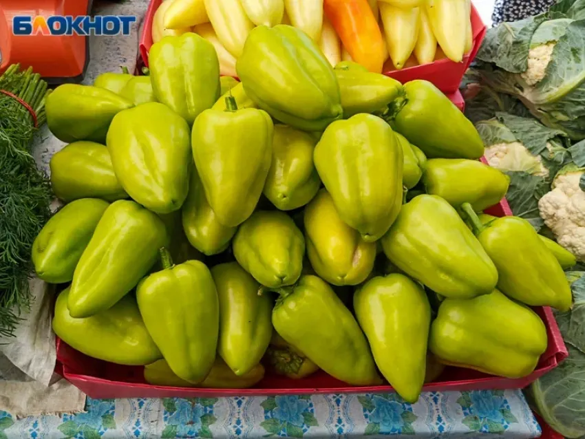 Волжанам рассказали, какие продукты поддержат иммунитет и как помочь организму после зимы