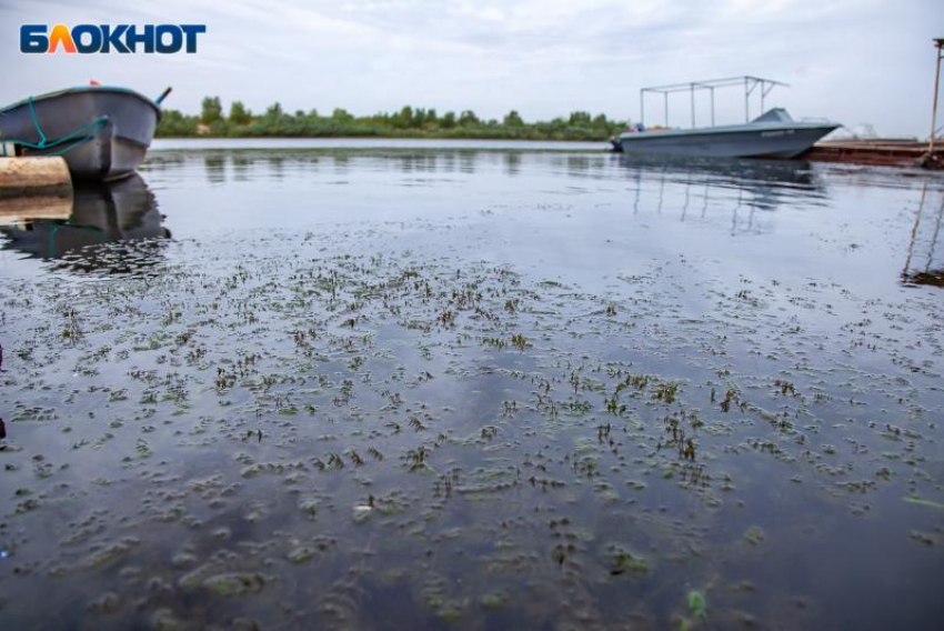Под Волжским стартует масштабный проект восстановления водной артерии