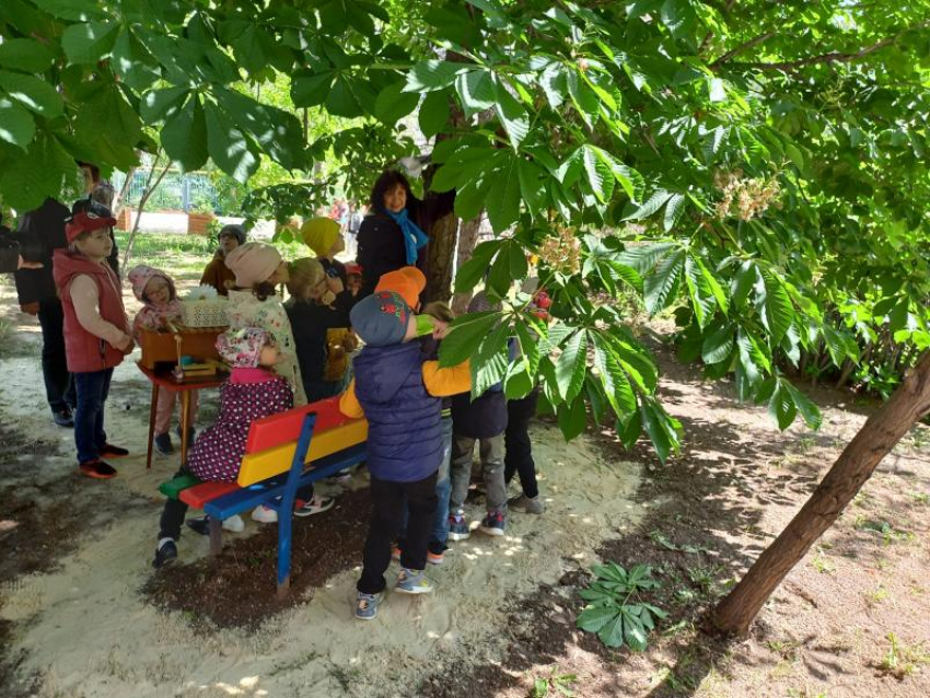 Жизнь на ощупь: в Волжском открыли единственный в Волгоградской области сенсорный «Сад ощущений» для слабовидящих детей