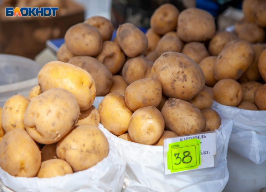 Продуктовая корзина: сравниваем цены на картофель в магазинах Волжского