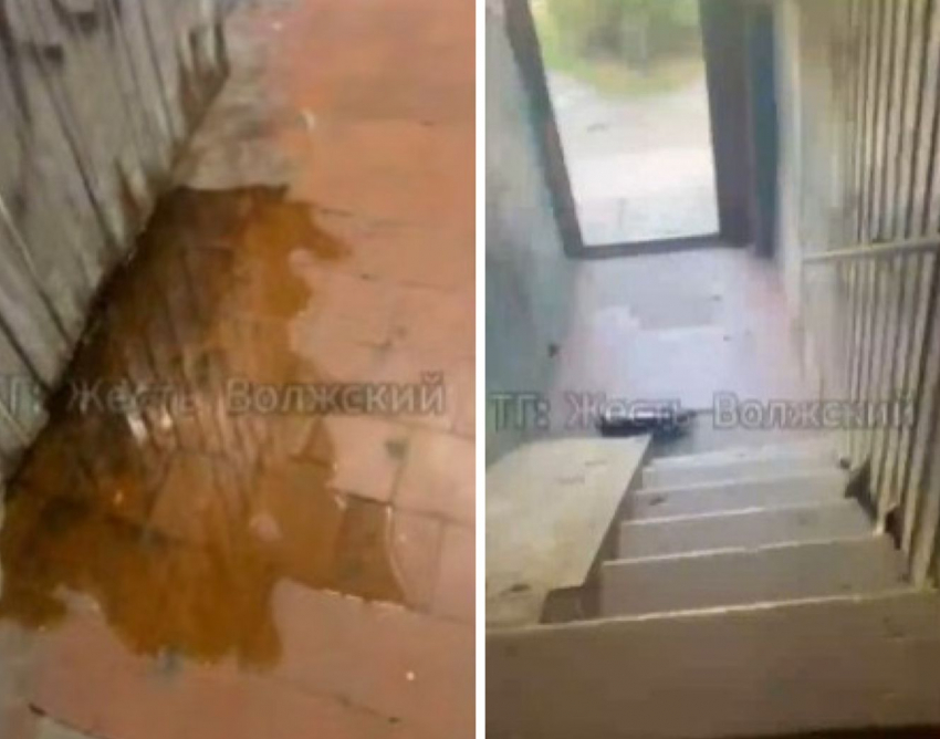 Ароматные сюрпризы каждую ночь появляются в подъезде МКД в Волжском