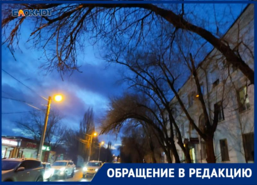 Ветки висят на волоске над тротуаром – волжанин рассказал о ситуации на оживленной улице