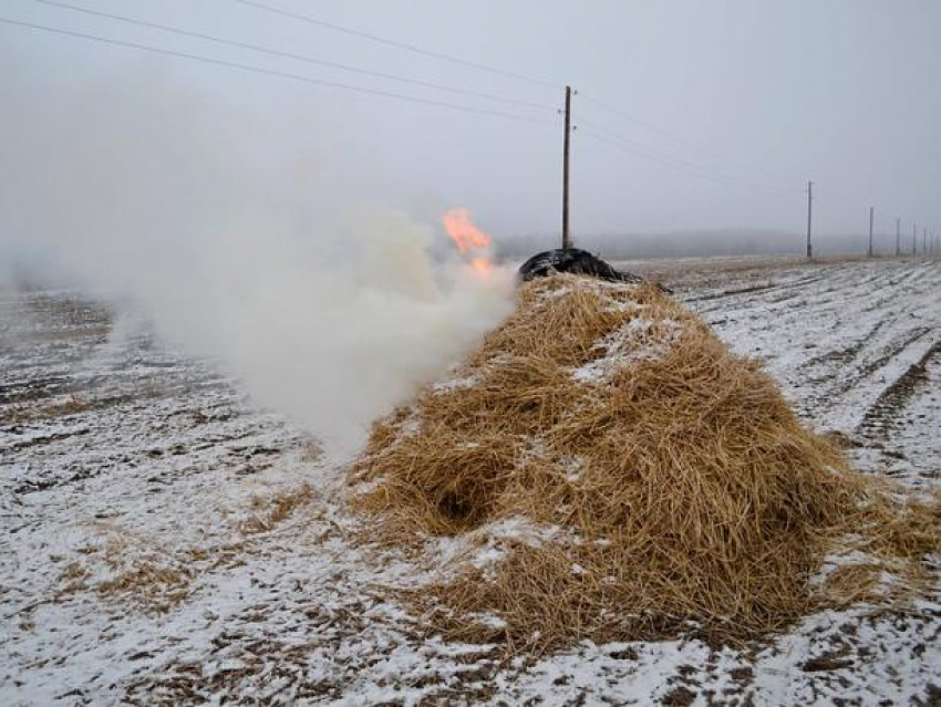 Под Волжским сгорело 700 кг сена 