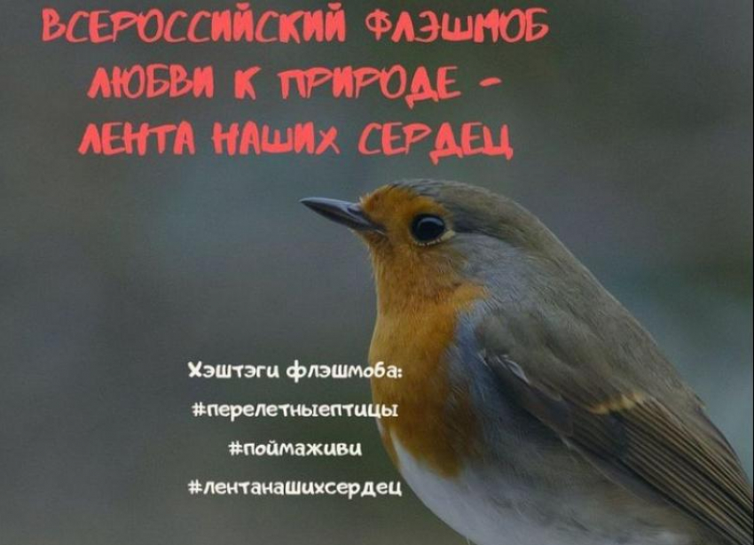 Завязать алые ленты в вымирающей Волга-Ахтубинской пойме в день птиц приглашают волжан