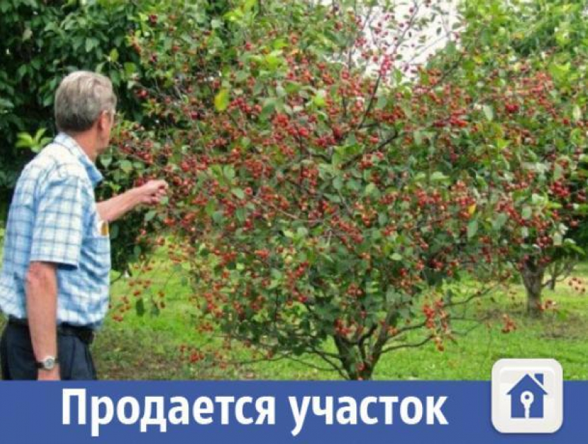 Волжанам предлагают купить райский уголок