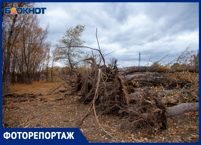 Что осталось от Волга-Ахтубинской поймы на месте строительства трассы под Волжским