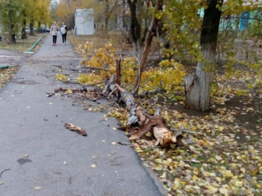 Жуткий холод и ветер принесет волжанам новый день 