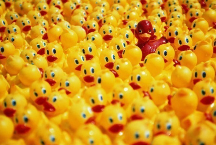 Роспотребнадзор ищет опасные игрушки в волжских магазинах