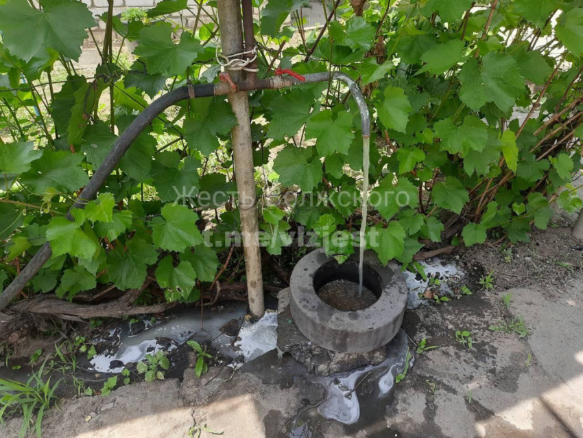 Тухлая вода с запахом фекалий: в Волжском жители бьют тревогу 