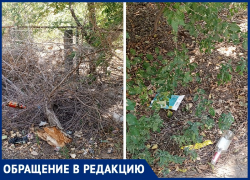 Наркопритон у школы №6 в Волжском: опасная частная территория ждет внимания властей