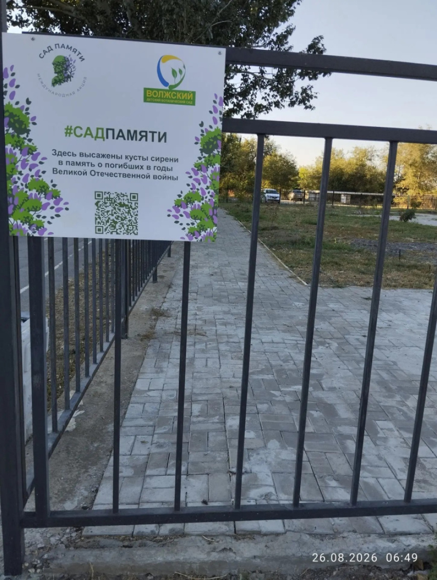 Чиновники Волжского опровергли открытие сада-мемориала героям ВОВ у «Русинки» после того, как он засох