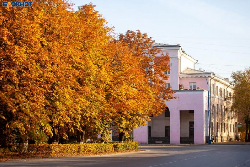 Немного солнышка подарит волжанам День повара