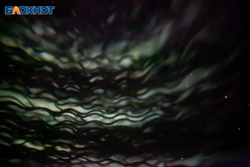 День располагает к тишине: гороскоп на 15 февраля