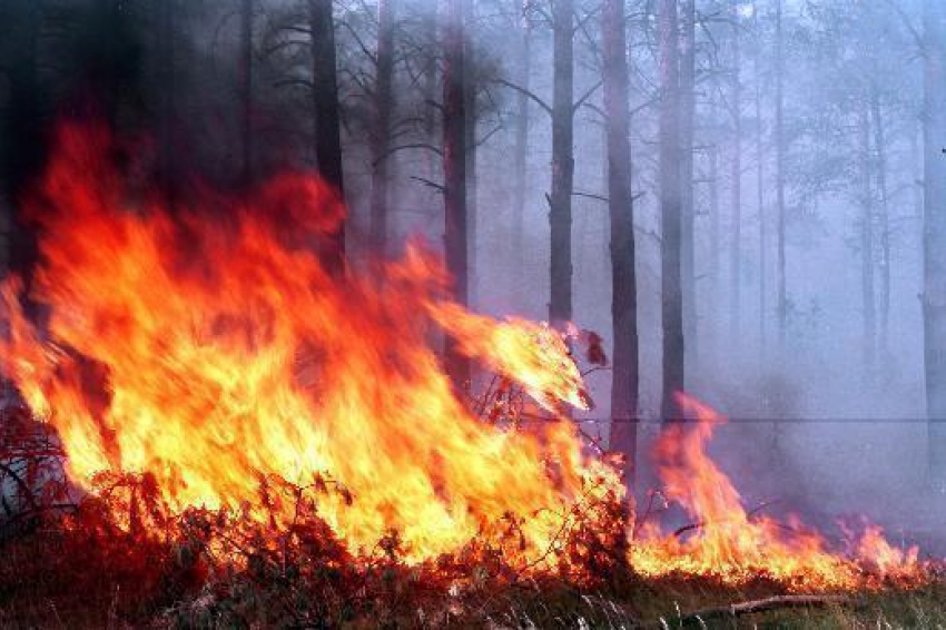 Волжан призывают соблюдать правила пожарной безопасности