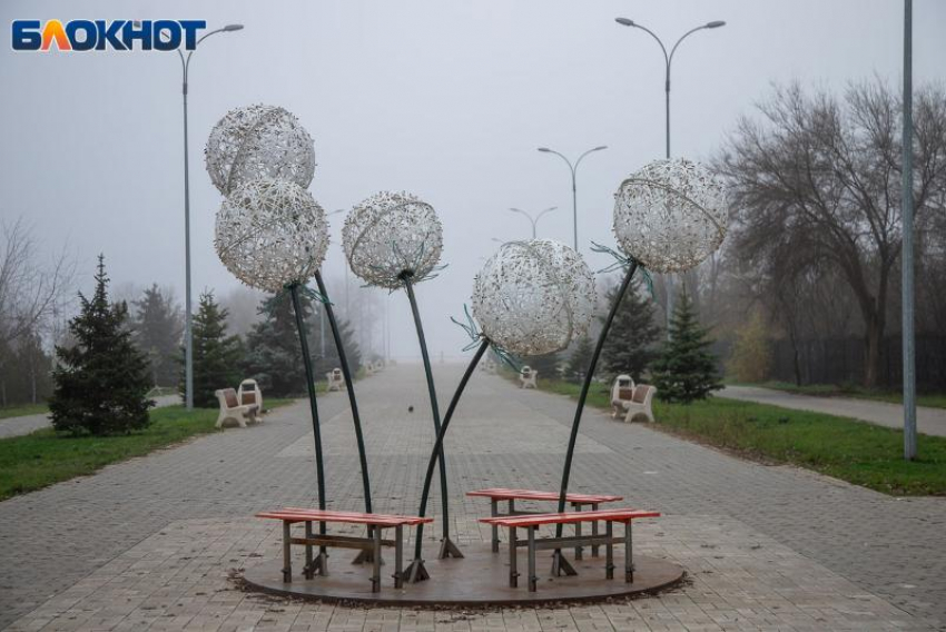 День требует гибкости и смелости: гороскоп на 8 декабря