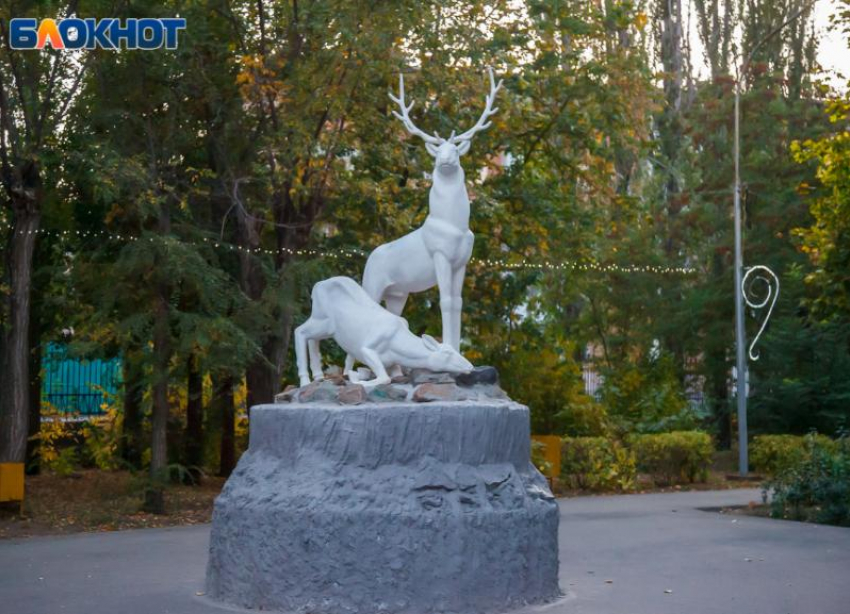 Нельзя стричь волосы в Аринин день: предостерегает волжская травница