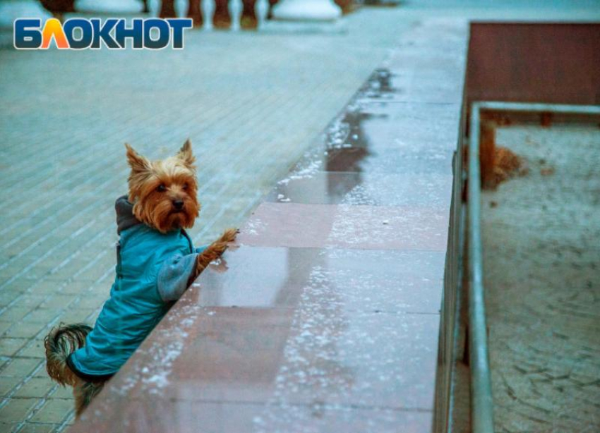 Морозный четверг ожидает жителей Волжского: прогноз погоды