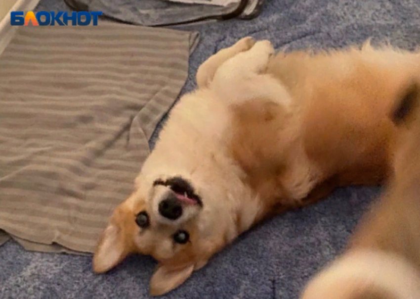 Пасмурный четверг порадует волжан теплом: прогноз погоды