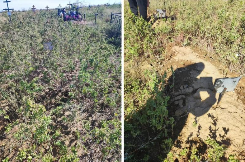 В Волжском чиновники пообещали убрать бесхозные могилы после скандала об их пропаже на кладбищах 