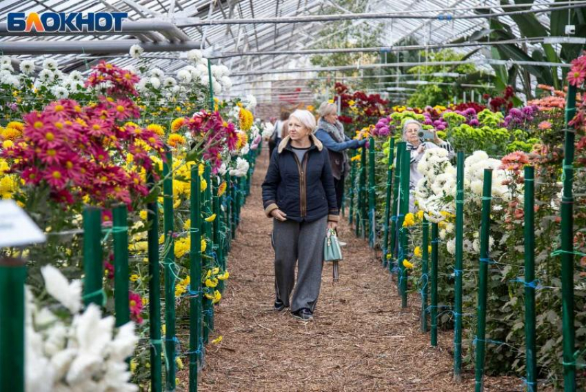 Цветущий рекорд и глобальная перезагрузка: Волжский ботсад ставит исторические максимумы