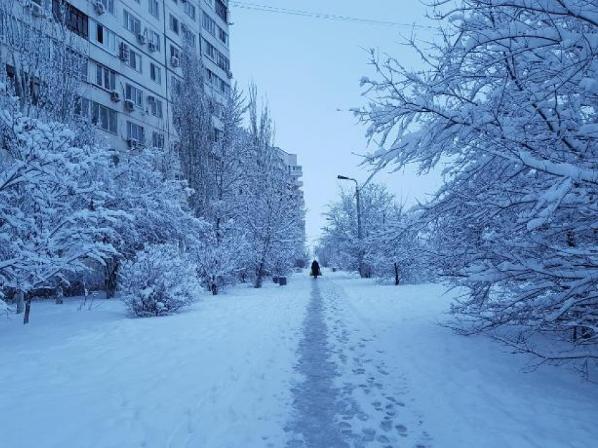 Суббота порадует снегопадом