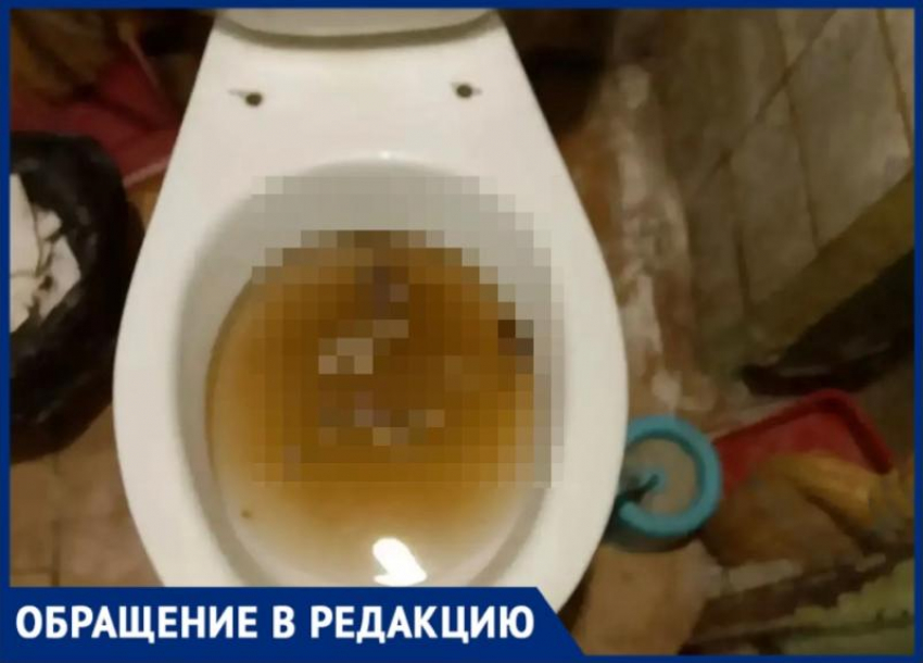 «Живем как в аду»: волжанка пожаловалась на коммунальный кошмар в общежитии на Молодежной, 42
