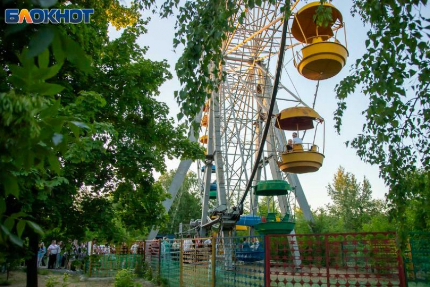 В Волжском обрабатывают зеленые насаждения от заболеваний и вредителей