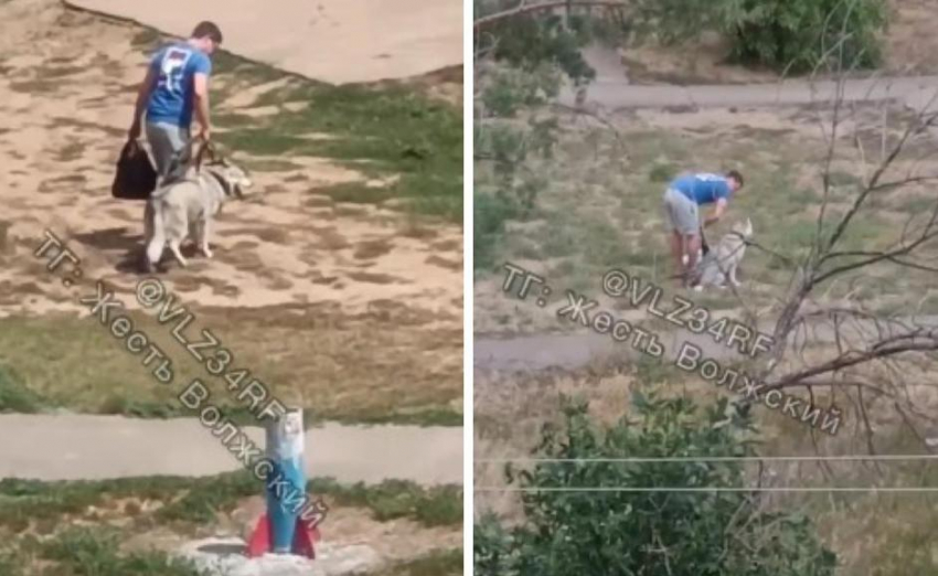 Живодер или воспитатель? Мужчина избил собаку во дворе Волжского на видео