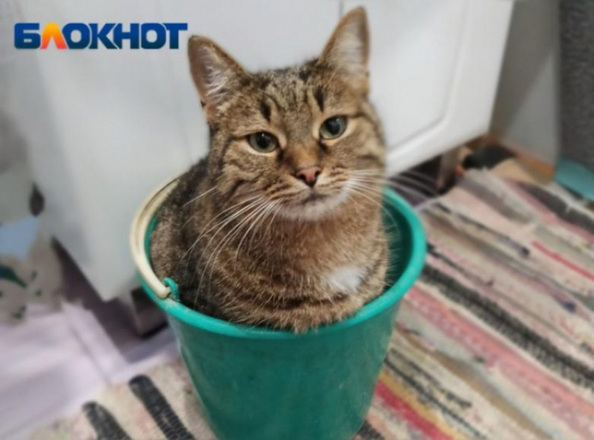 В Волжском отключили воду из-за аварии