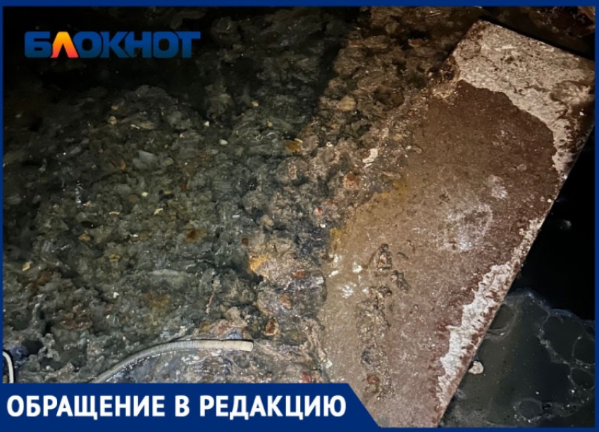 Подвал становится кладбищем и трупный запах в подъезде не дает волжанам спокойно жить  