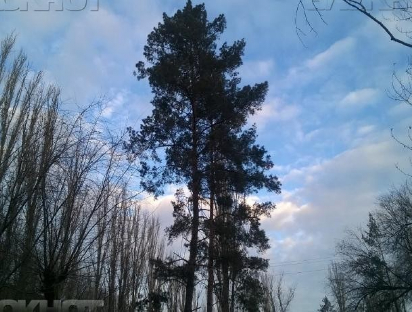 Морозную субботу без осадков пообещали волжанам