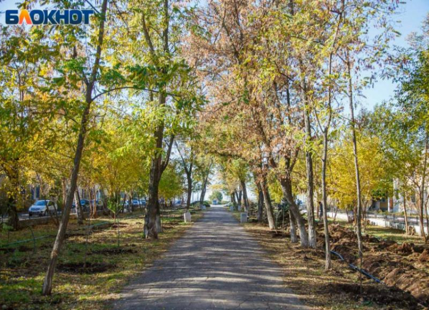 История любви в старейшем сквере Волжского