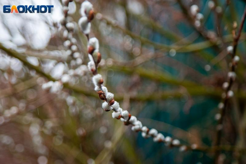 Пасмурные и дождливые выходные прогнозируют в Волжском