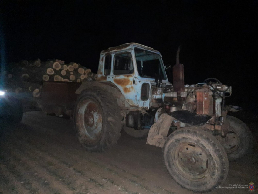 Срубили деревья для личных нужд: в Волгоградской области задержали подозреваемых в незаконной вырубке лесов 
