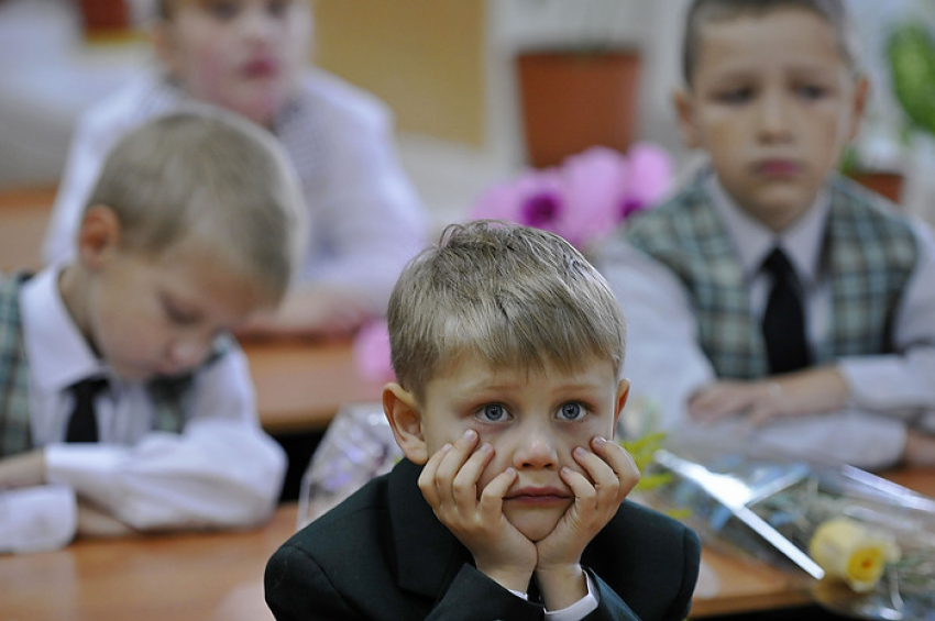 С 1 сентября школьники Волгоградской области будут учиться по новым стандартам